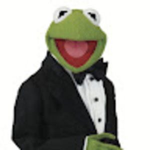 Meet your Posher, Amelia